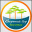 spa-tmn.ru