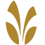thespringsliving.com