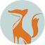 thesurfingfoxsm.com