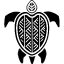 turtlefiji.com