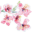 aufildelaura.fr