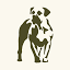 boerboelgear.com
