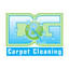 dgcarpetclean.com