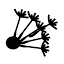 dipy.org