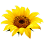 drrebecca.org.uk