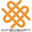 intecsoft.de