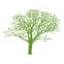 treetop.se