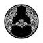 blackskydenver.com