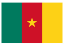 cameroon-evisa.com
