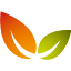 flowerpower.com.au