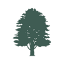 forestpub.co.jp