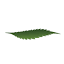 growcity.com