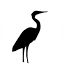 mindfulnessnorthwest.com