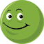 mrhempflower.com