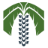 palmettochiropractic.com