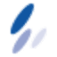 shnet.co.jp