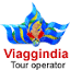 viaggindia.com