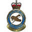 41squadron.org.nz