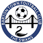 bartontownfc.co.uk