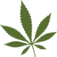 bcbudsupply.com