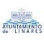 ciudaddelinares.es