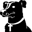 newdwpinc.com