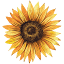 positivelymel.com
