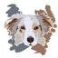 sleepherds.de