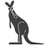 threewisekangaroos.com