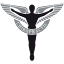 vabeachchiro.com