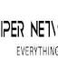 vipernetworks.com