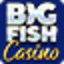 bigfishcasino.com