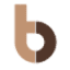 bodmer-ton.ch