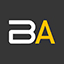 bridgeacademy.cz