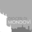 diocesimondovi.it