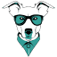 doggynaturalhealth.com