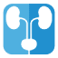 hakkiperk.com