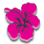 hawaiiskjorta.se