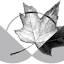 policynote.ca