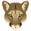 santacruzpumas.org