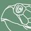 sea-turtle-conservation.net