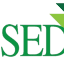 sedf.gos.pk