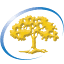 southeastvalleyurology.com