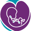 surrogatemothers.com