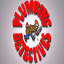 theplumbingdetectives.com