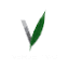 verdetwo.com