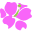 avasflowers.com