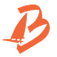bonairewindsurfplace.com