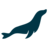 codership.com