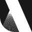 cogpittore.com